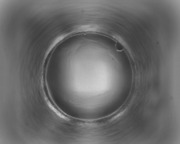 X0000083040941200702021148