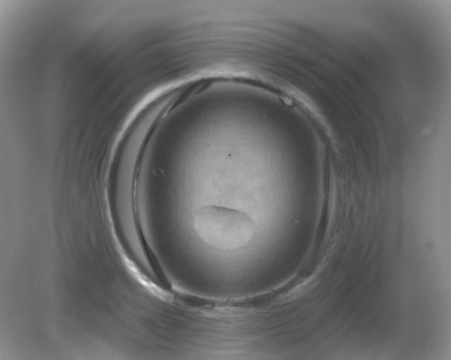 X0000083040942200702021148