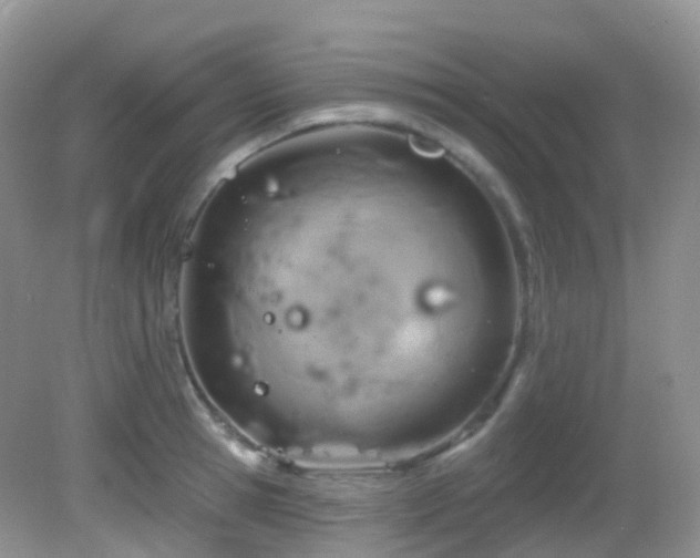 X0000083040945200702021148