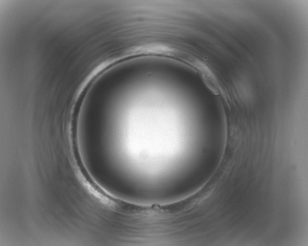 X0000083040947200702021148