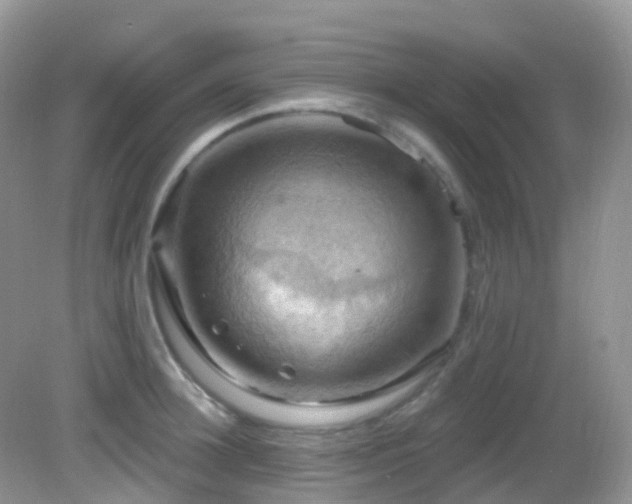 X0000083040948200702021148