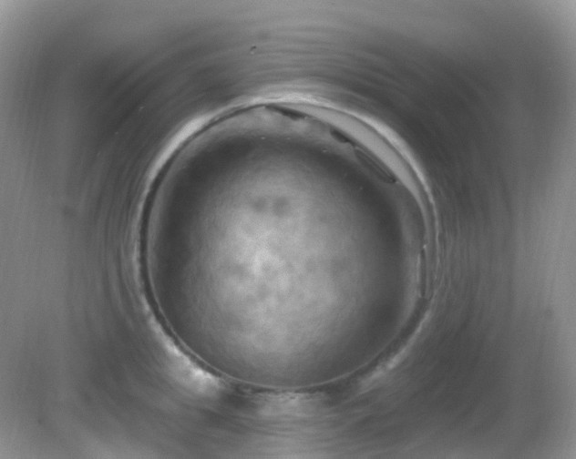 X0000083040949200702021148