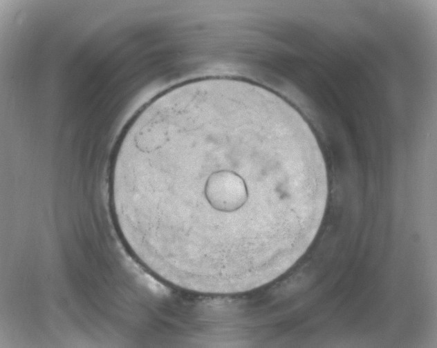 X0000083040950200702021148