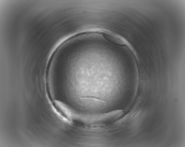 X0000083040951200702021148