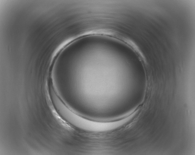 X0000083040952200702021148