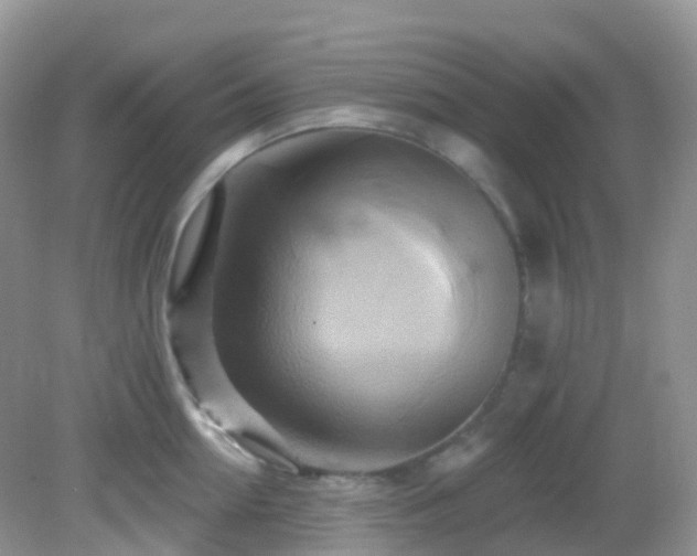 X0000083040954200702021148