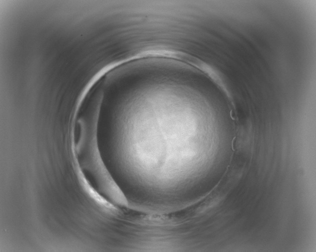 X0000083040955200702021148