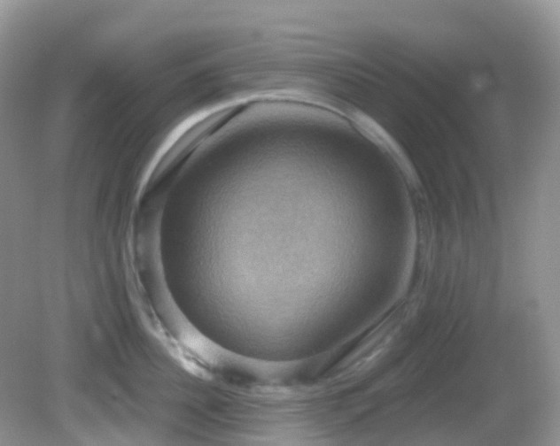 X0000083040956200702021148