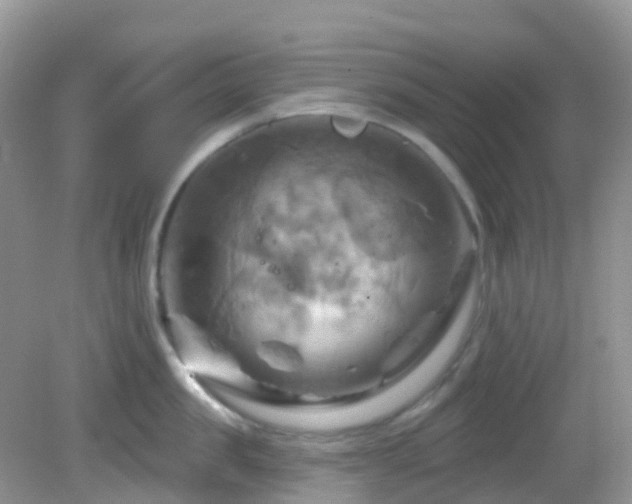 X0000083040957200702021148