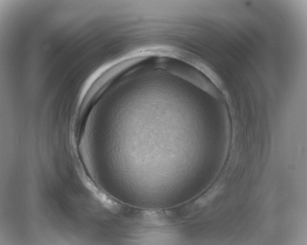 X0000083040960200702021148