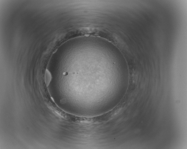 X0000083040961200702021148