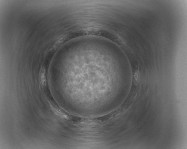 X0000083040963200702021148