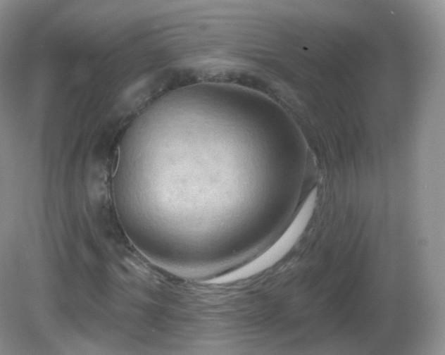 X0000083040964200702021147