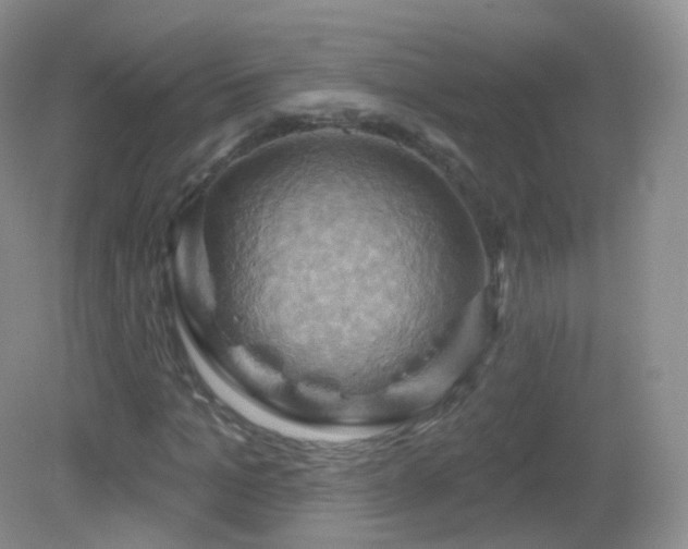 X0000083040965200702021147