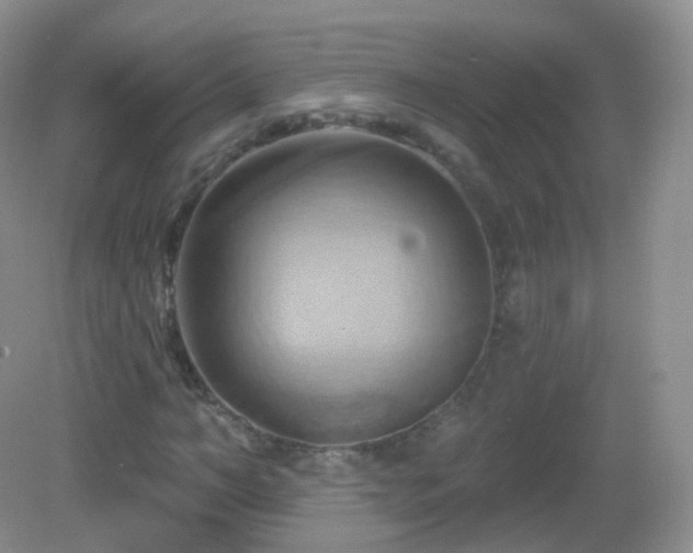 X0000083040966200702021147