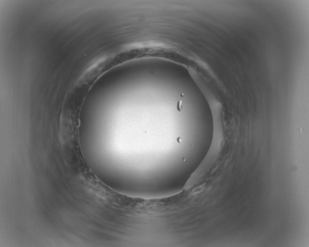 X0000083040967200702021147