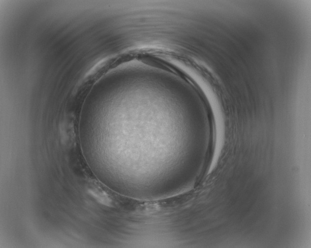 X0000083040968200702021147