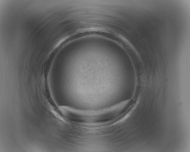 X0000083040969200702021147