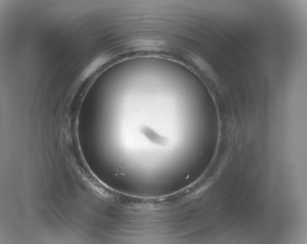 X0000083040970200702021147