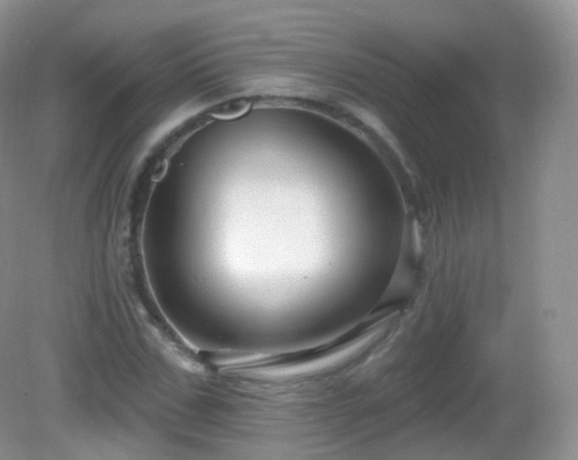 X0000083040971200702021147