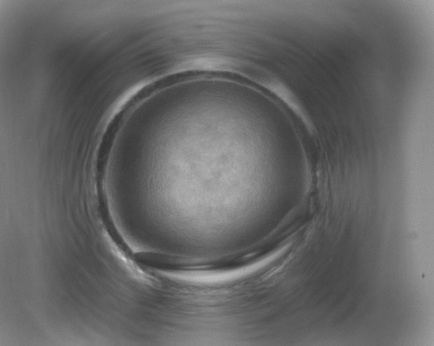 X0000083040972200702021147