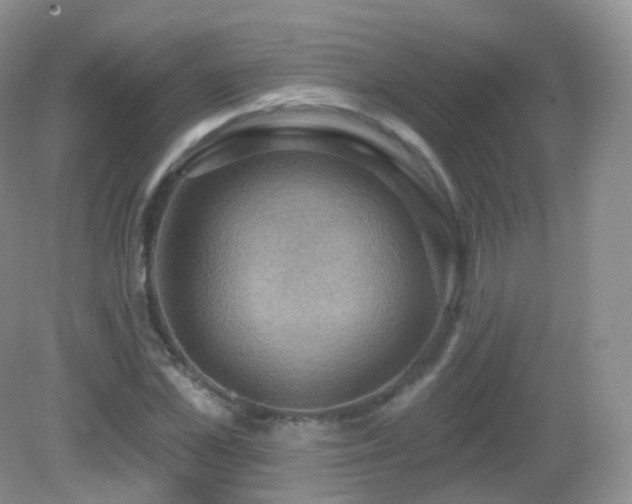 X0000083040973200702021147