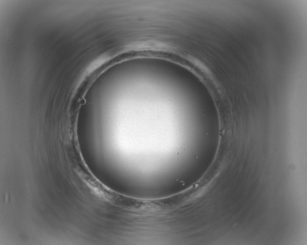 X0000083040974200702021147