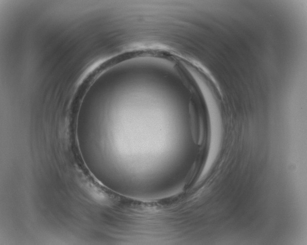 X0000083040975200702021147