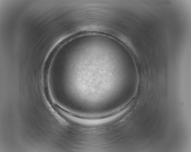 X0000083040976200702021147