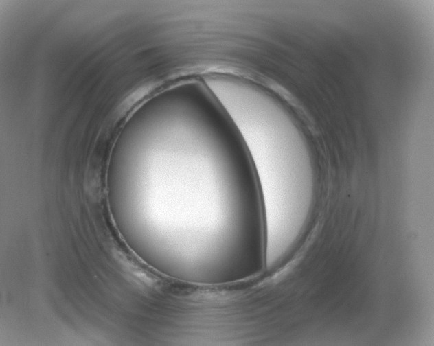 X0000083040977200702021147