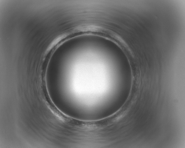 X0000083040978200702021147