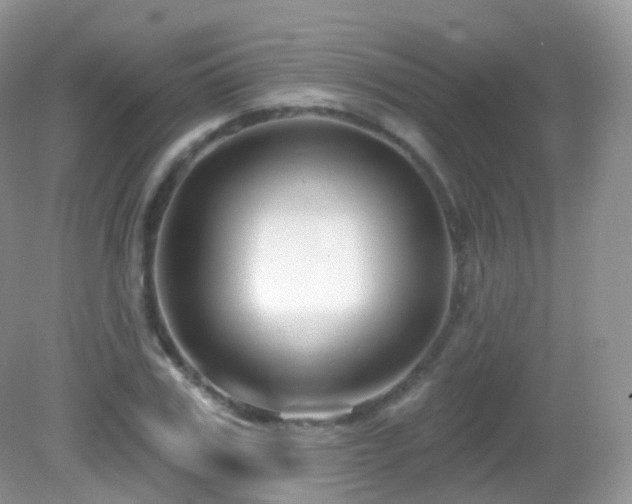 X0000083040979200702021147