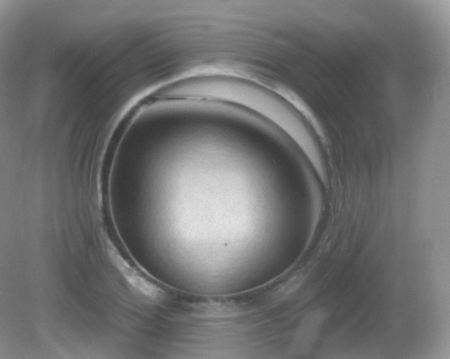 X0000083040980200702021147