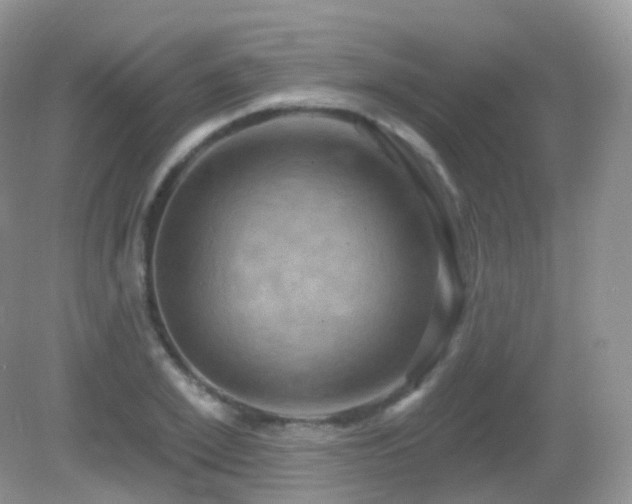 X0000083040981200702021147