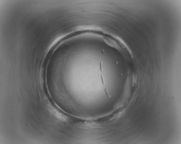 X0000083040983200702021147