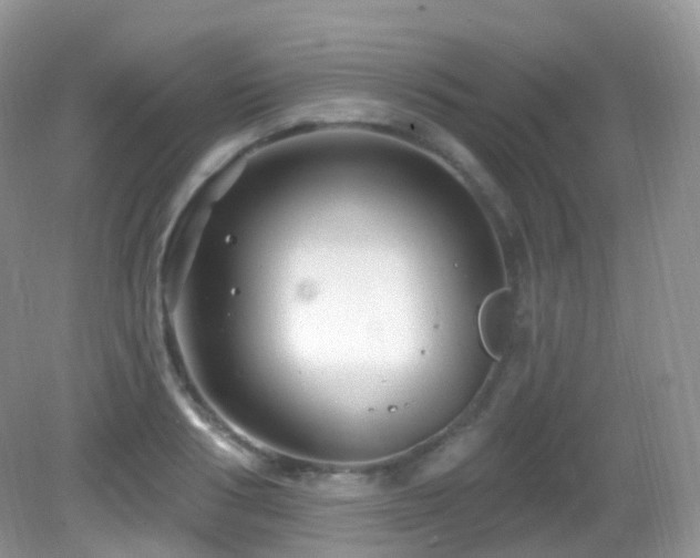 X0000083040986200702021147