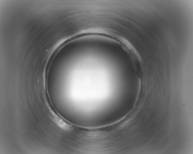 X0000083040988200702021147