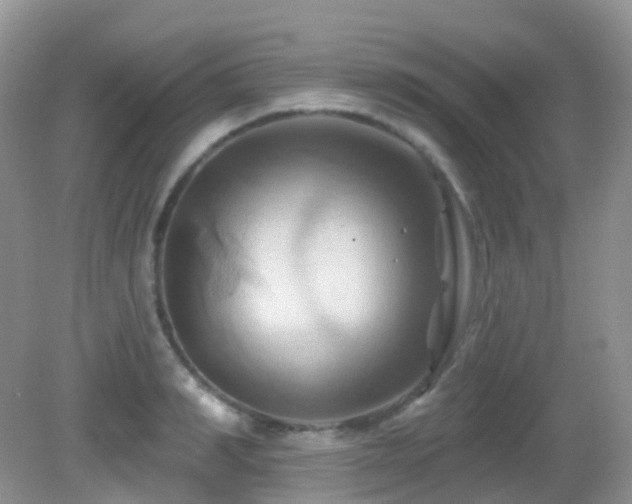 X0000083040990200702021147