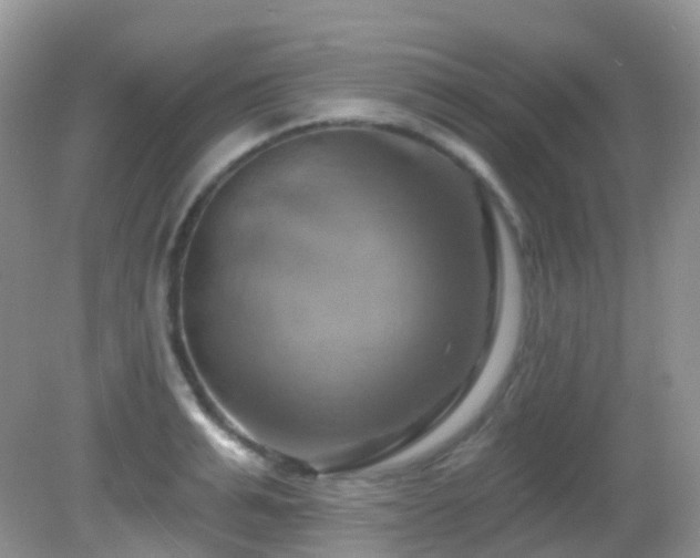 X0000083040991200702021147