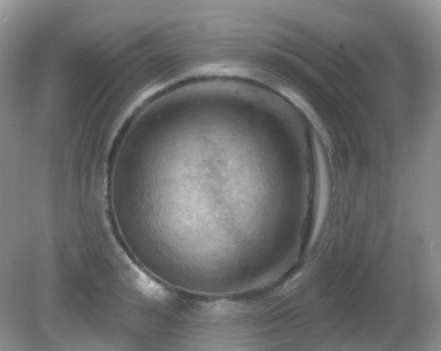 X0000083040992200702021147