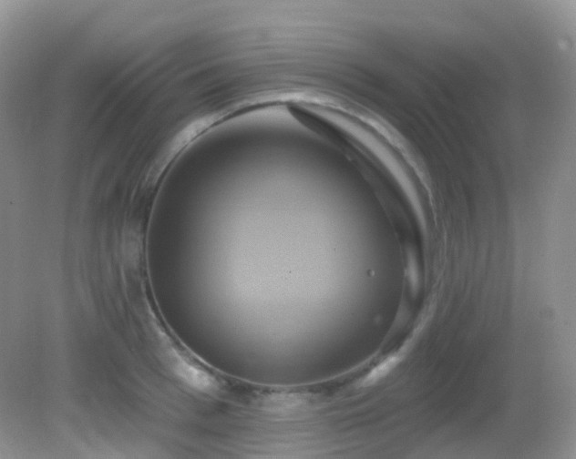 X0000083040993200702021147