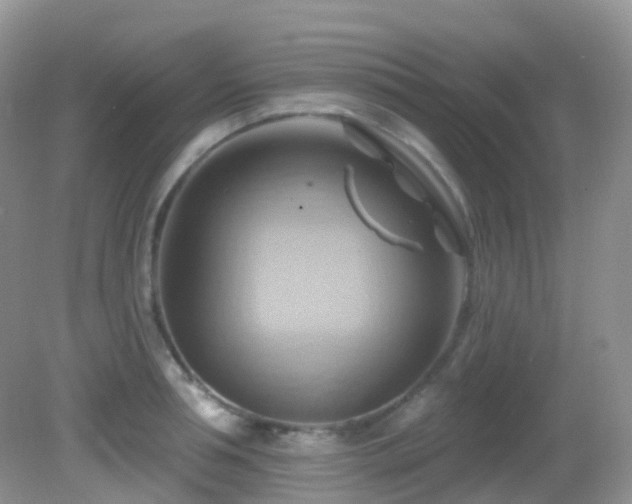 X0000083040994200702021147