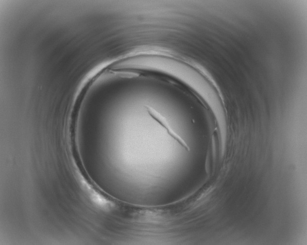 X0000083040995200702021147