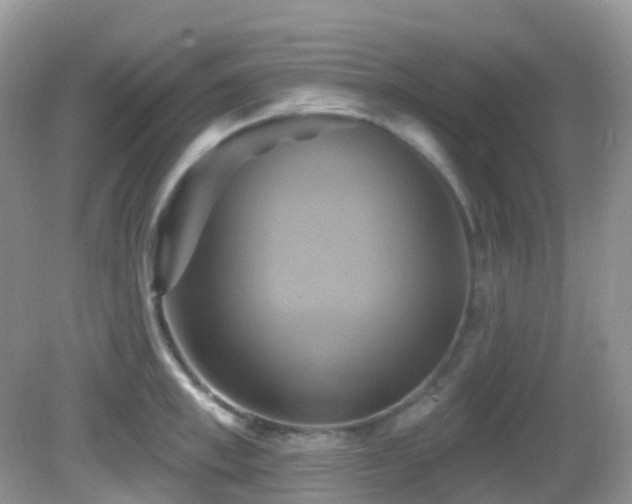 X0000083040997200702021147