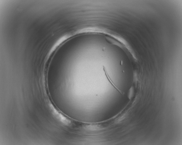 X0000083040998200702021147