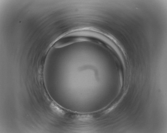 X0000083041001200702021147