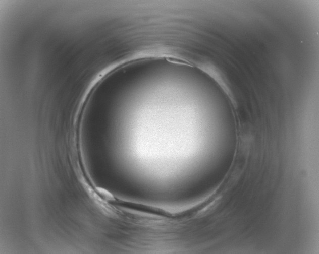 X0000083041004200702021147