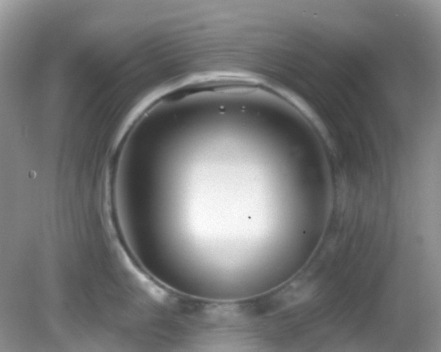 X0000083041006200702021147