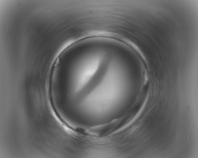 X0000083041007200702021147