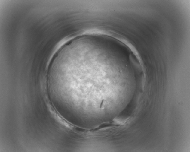 X0000083041008200702021147